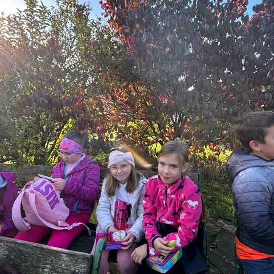Bild enthält, Grass, Park, Person, Photography, Portrait, Vegetation, Coat, Tree, Jacket, Child