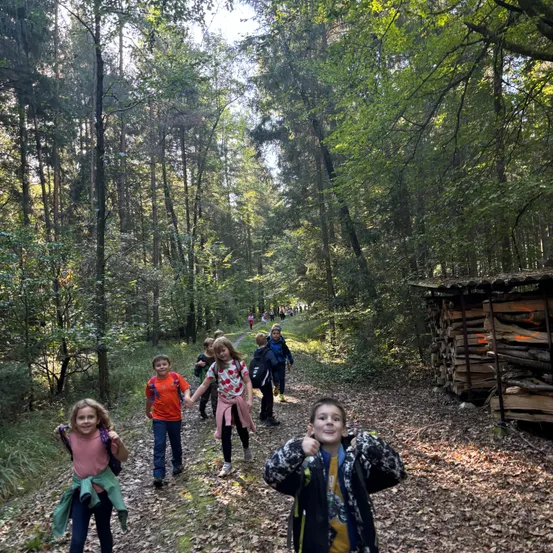Hiking, Nature, Outdoors, Person, Walking, Vegetation, Tree, Woodland, Grove, Child