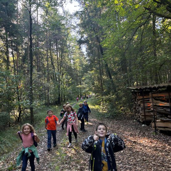 Bild enthält, Hiking, Nature, Outdoors, Person, Walking, Vegetation, Tree, Woodland, Grove, Child