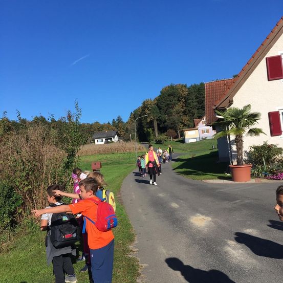 Bild enthält, Neighborhood, Street, Grass, Villa, Shelter, Path, Park, Tree, Portrait, Vegetation