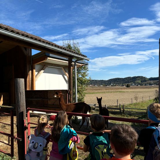 Bild enthält, Outdoors, Shelter, Child, Female, Girl, Person, Boy, Male, Nature, Antelope
