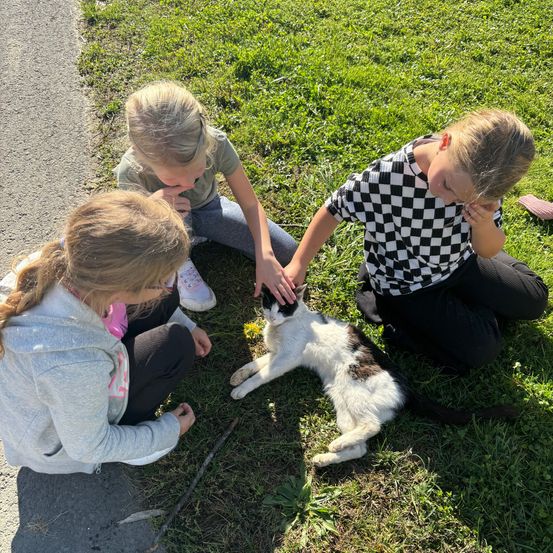 Bild enthält, Grass, Person, Photography, Portrait, Child, Female, Girl, Park, Lawn, Shoe