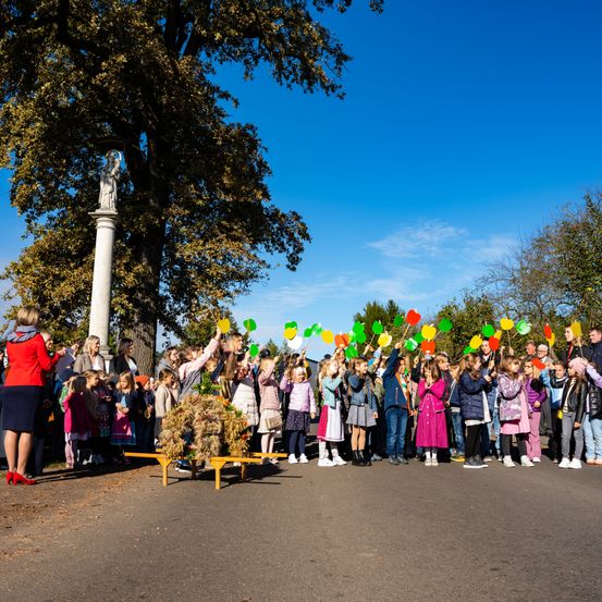 Bild enthält, Person, Walking, Plant, Tree, People, Clothing, Coat, Jeans, Dress, Formal Wear