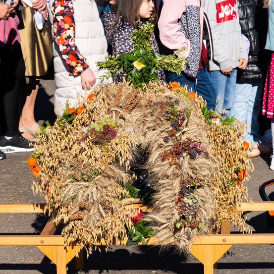 Bild enthält, Flower Arrangement, Shorts, Flower Bouquet, Jeans, Adult, Male, Man, Person, Shoe, Jacket