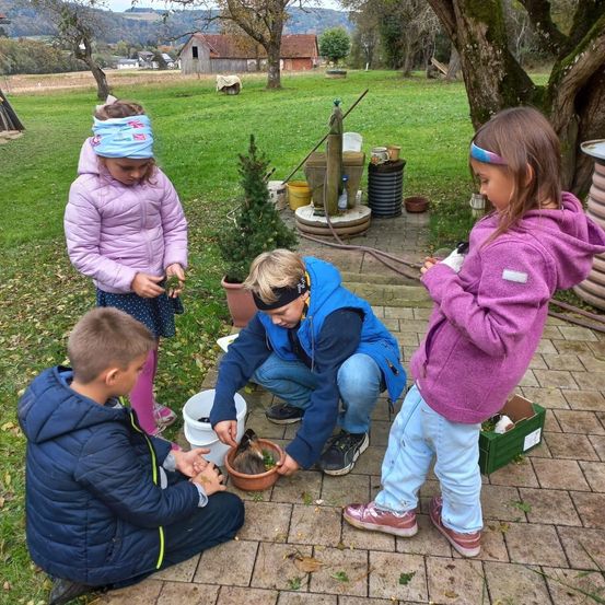 Bild enthält, Grass, Park, Pants, Photography, Portrait, Tree, Potted Plant, Backyard, Vegetation, Path