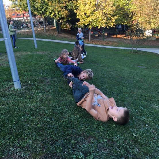 Bild enthält, Grass, Outdoors, Park, Portrait, Vegetation, Tree, Backyard, Yard, Grove, Lawn