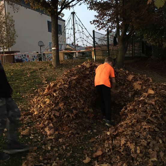 Bild enthält, Soil, Walking, Pants, Shelter, Backyard, Grass, Vegetation, Tree, Photography, Neighborhood