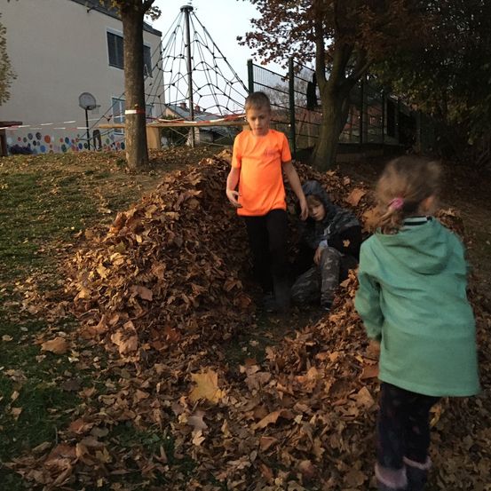 Bild enthält, Coat, Grass, Soil, Shelter, Photography, Backyard, Walking, Vegetation, Portrait, Tree
