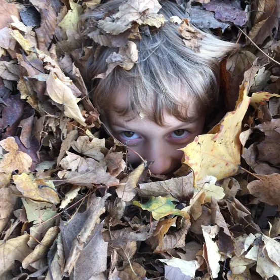 Leaf, Face, Head, Person, Photography, Portrait, Child, Female, Girl, Tree