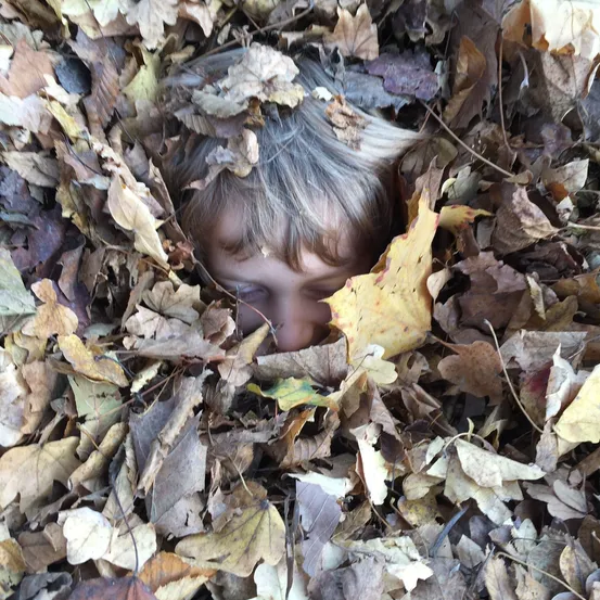 Leaf, Face, Head, Person, Photography, Portrait, Child, Female, Girl, Tree