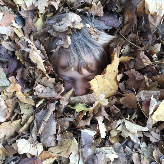 Bild enthält, Leaf, Face, Head, Person, Photography, Portrait, Child, Female, Girl, Tree
