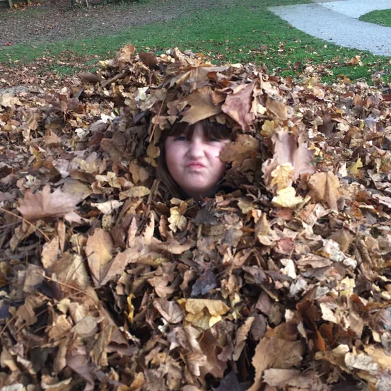 Leaf, Face, Person, Photography, Portrait, Shelter, Grass, Backyard, Yard, Vegetation