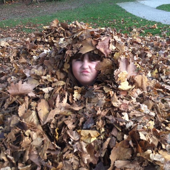 Bild enthält, Leaf, Face, Person, Photography, Portrait, Shelter, Grass, Backyard, Yard, Vegetation