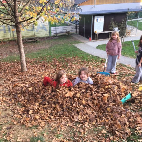 Bild enthält, Shelter, Backyard, Yard, Grass, Person, Portrait, Leaf, Child, Female, Girl