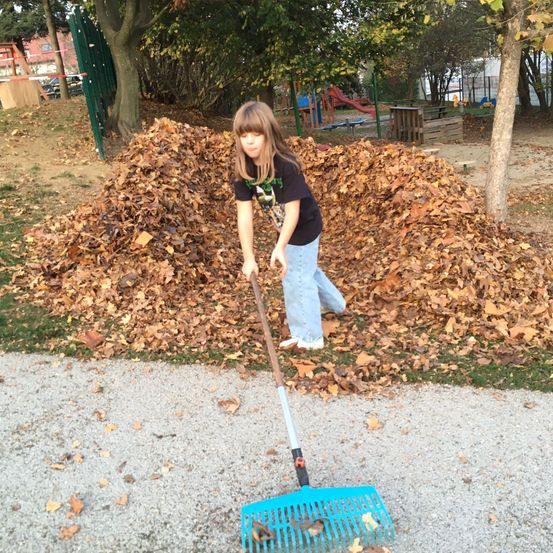 Bild enthält, Photography, Portrait, Grass, Park, Vegetation, Tree, Grove, Woodland, Soil, Yard