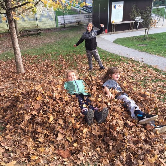 Bild enthält, Grass, Park, Photography, Portrait, Shelter, Vegetation, Tree, Pants, Walking, Backyard