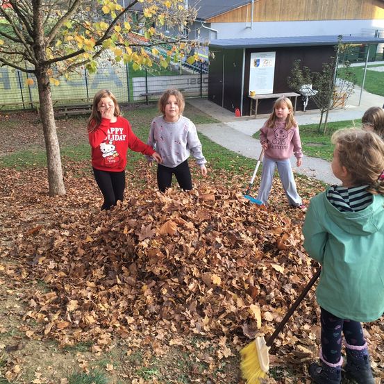 Bild enthält, Person, Photography, Portrait, Shelter, Grass, Backyard, Vegetation, Walking, Tree, Park