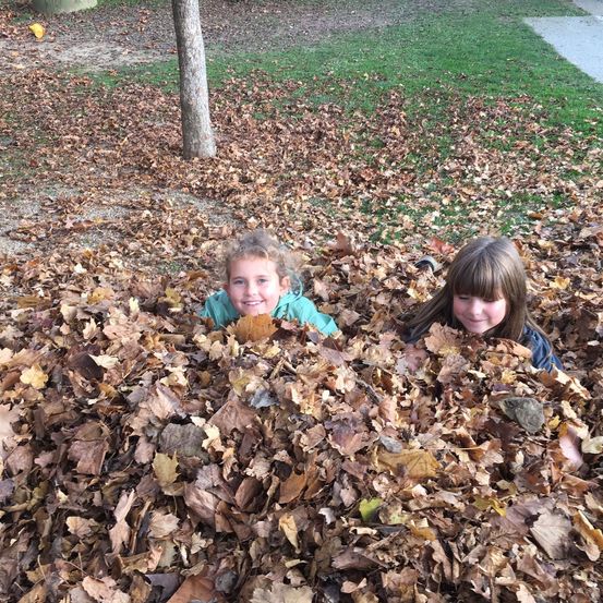 Bild enthält, Leaf, Person, Photography, Portrait, Grass, Vegetation, Grove, Park, Child, Girl