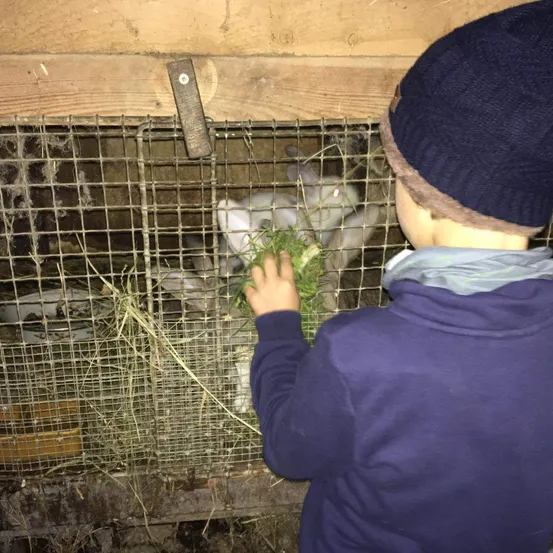 Clothing, Hat, Animal, Mammal, Rabbit, Cap, Person, Zoo