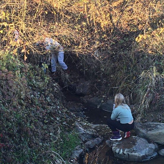 Bild enthält, Vegetation, Land, Outdoors, Wilderness, Child, Female, Girl, Person, Photography, Rock