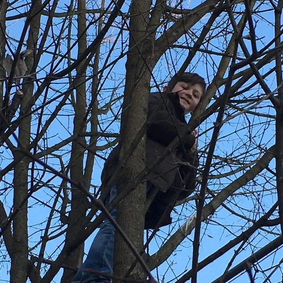 Person, Plant, Tree, Hiding, Vegetation, Nature, Outdoors, Woodland, Face, Head