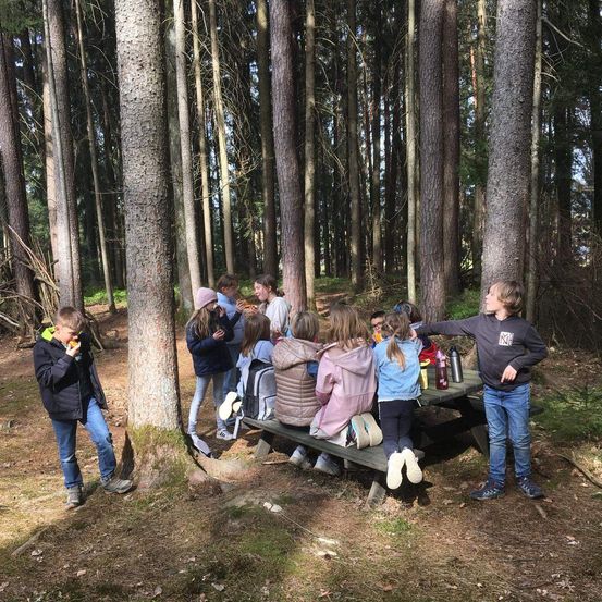 Kinder sitzen um einen Picknicktisch im Wald. Sie essen und einige stehen, während sie etwas vor sich betrachten.