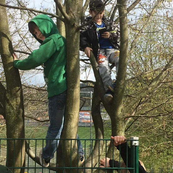 Zwei Jungen klettern auf einen Baum, einer trägt eine grüne Kapuzenjacke und der andere eine schwarze Jacke und Hose mit Cartoon-Designs. Beide schauen sich etwas in den Händen an. Im Hintergrund befindet sich ein Zaun und eine Rasenfläche mit einem Gebäude.