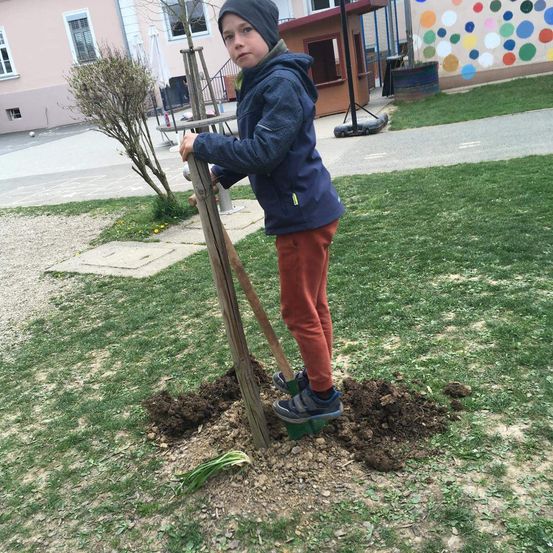 Ein Junge in einer blauen Jacke gräbt mit einer grünen Schaufel in der Erde, während er auf einem Haufen Erde steht.