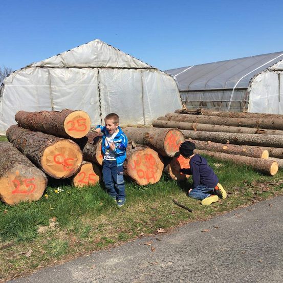 Zwei kleine Jungen stehen vor einem Haufen geschnittener Baumstämme, einer lächelt und der andere berührt die Stämme. Dahinter befinden sich große weiße Planen, die wahrscheinlich Gewächshäuser abdecken.