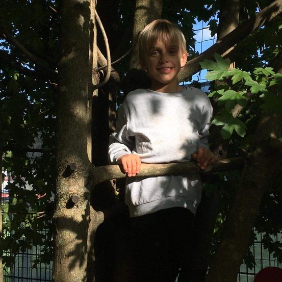 Ein Junge mit blonden Haaren und einem weißen Sweatshirt steht in einem Baum. Er hält einen Ast mit beiden Händen und lächelt.