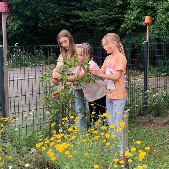 Drei Mädchen untersuchen eine Pflanze mit roten Beeren in einem Garten voller gelber Blumen und einem schwarzen Zaun.