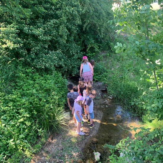 Eine Gruppe von Kindern erkundet einen kleinen Bach in einem üppigen, grünen Wald. Sie folgen einer Frau mit einer rosa Kappe.