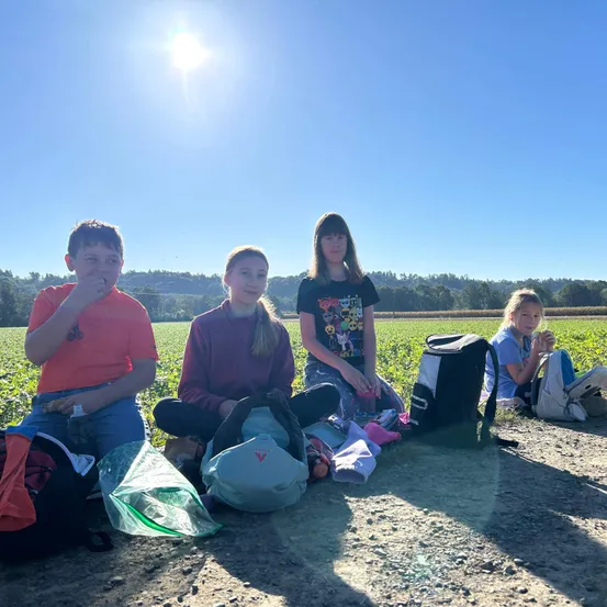 Vier Kinder sitzen auf dem Boden in einem Feld, mit Rucksäcken und Snacks, unter einem hellen Sonnenschein.
