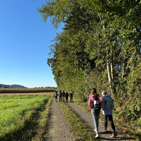 Eine Gruppe von Wanderern geht auf einem Kiesweg, umgeben von üppiger Grünfläche und klarem blauem Himmel.