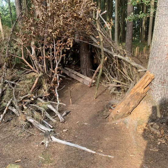 Eine kleine Hütte aus Stöcken und Zweigen im Wald.