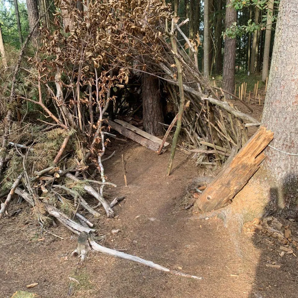 Eine kleine Hütte aus Stöcken und Zweigen im Wald.