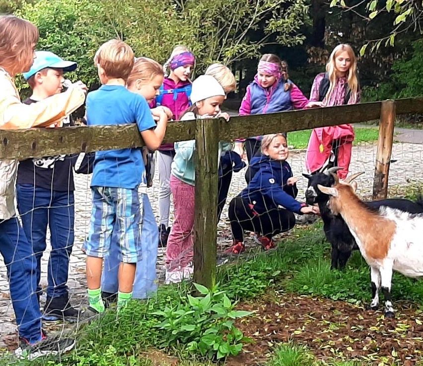 Eine Gruppe von Kindern besucht einen Bauernhof. Einige streicheln Ziegen, andere beobachten von einem Zaun aus. Bäume und Pflanzen sind im Hintergrund.