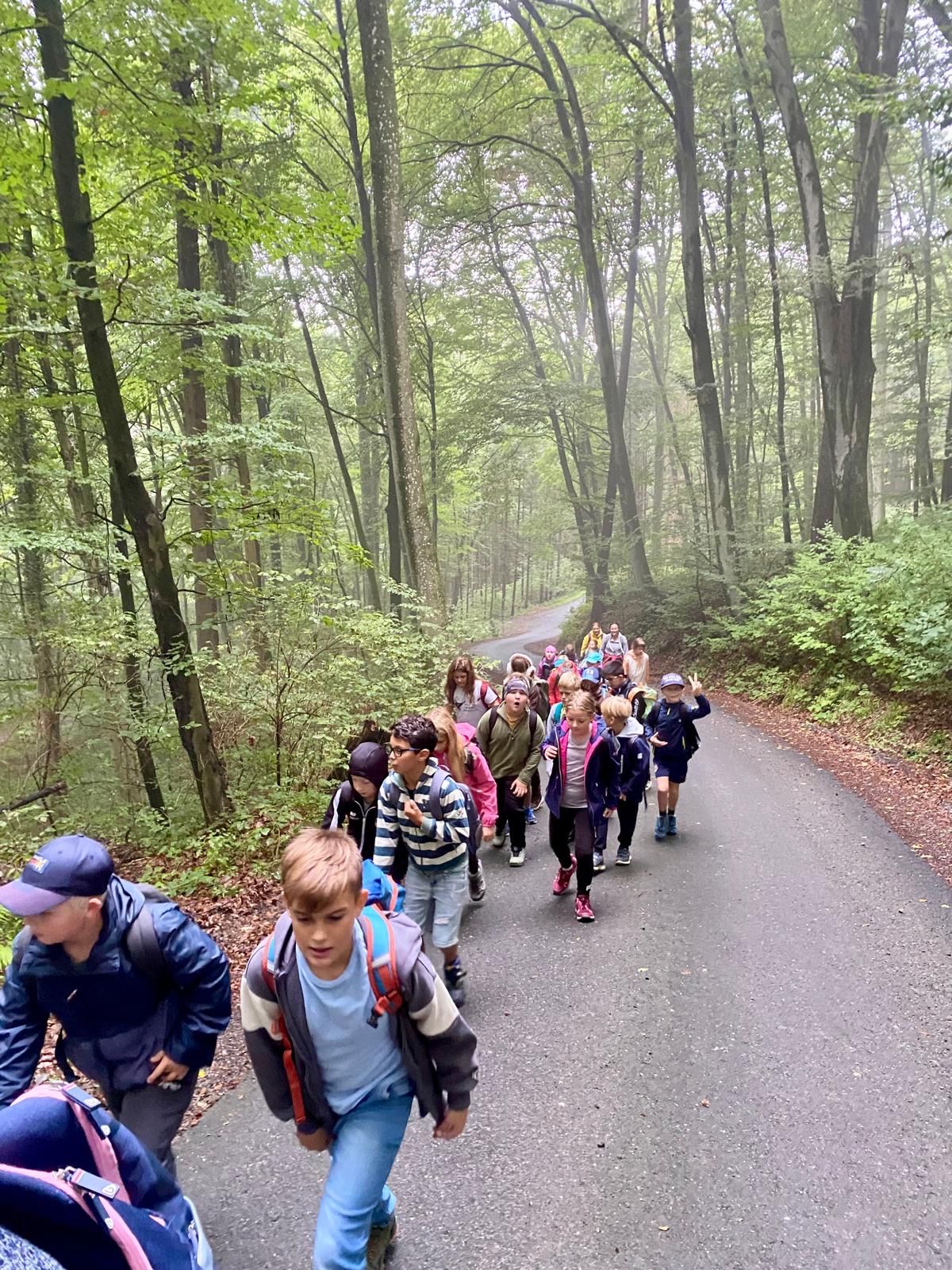 Eine Gruppe von Kindern und Erwachsenen geht einen bewaldeten Pfad entlang, einige tragen Rucksäcke und Hüte. Der Weg ist von dichten Bäumen und Pflanzen umgeben.