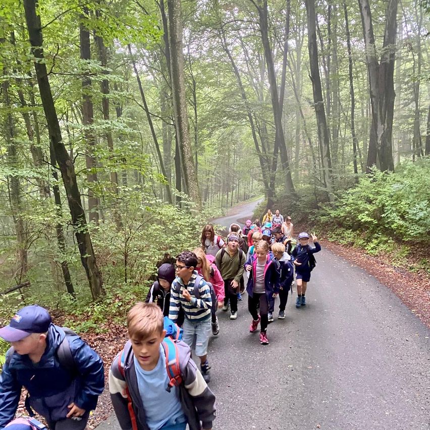 Eine Gruppe von Kindern und Erwachsenen geht einen bewaldeten Pfad entlang, einige tragen Rucksäcke und Hüte. Der Weg ist von dichten Bäumen und Pflanzen umgeben.