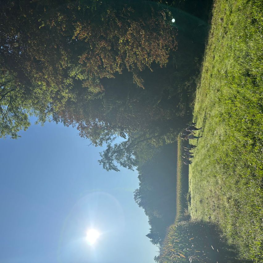 Eine Gruppe von Menschen läuft durch ein saftiges grünes Feld unter einem hellen Sonnenschein, mit einem klaren blauen Himmel darüber.