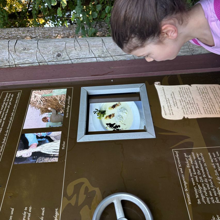 Ein junges Mädchen schaut durch ein kleines Fenster auf einem Informationsschild mit Bildern und Text. Es zeigt ein Gericht mit Essen, einem Blatt und arbeitenden Menschen. Das Schild steht draußen mit einem Holzzaun und viel Grün.