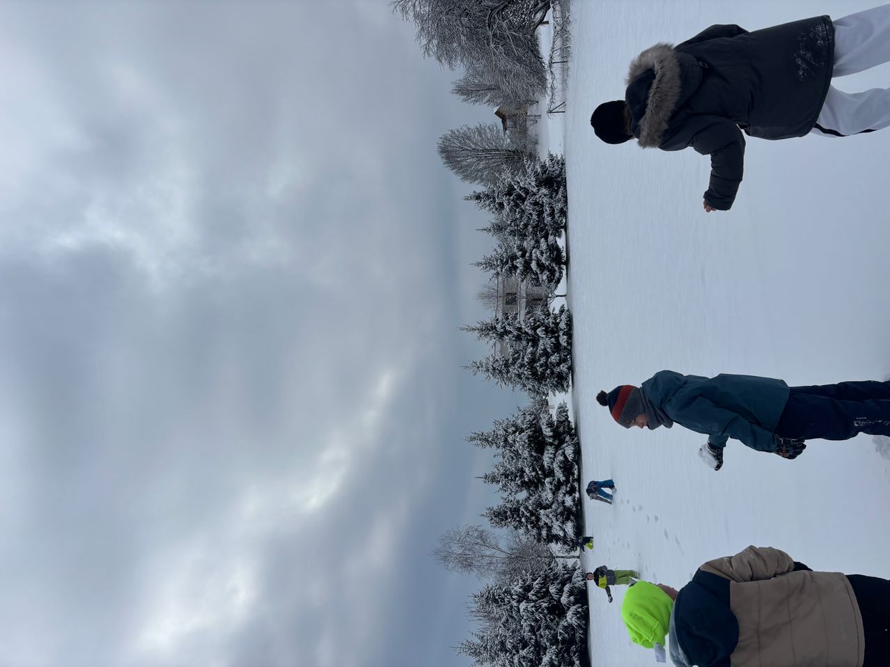 Mehrere Personen stehen und skaten auf einer verschneiten Fläche mit Kiefern, unter einem bewölkten Himmel.