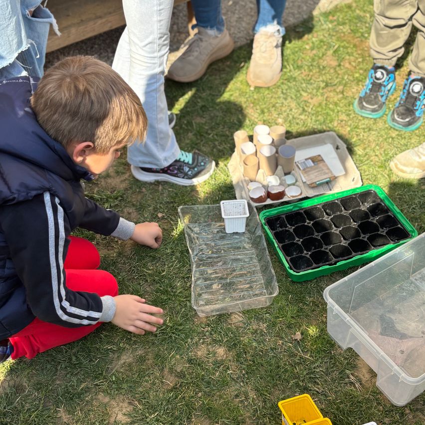 Ein junger Junge hockt auf dem Rasen und konzentriert sich auf einen durchsichtigen Plastikbehälter mit Setzlingen. In der Nähe stehen weitere Behälter mit Erde und Pflanzenmaterial auf dem Boden.