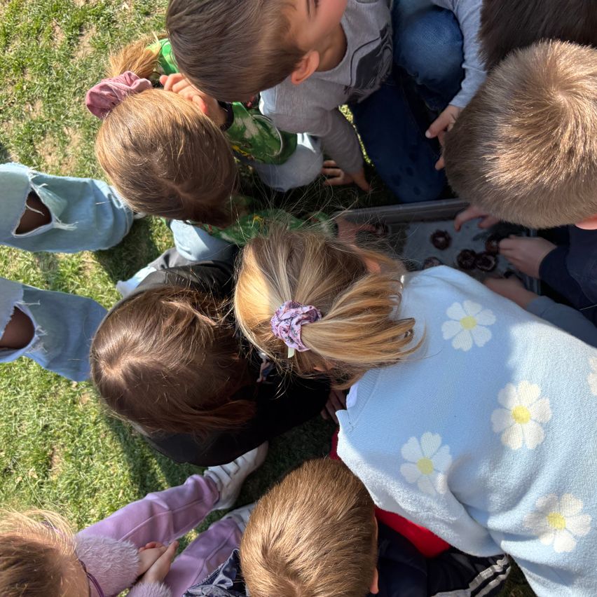 Eine Gruppe von Kindern versammelt sich um eine Schale mit Schokoladen auf einem Rasen. Sie betrachten die Schokoladen neugierig.