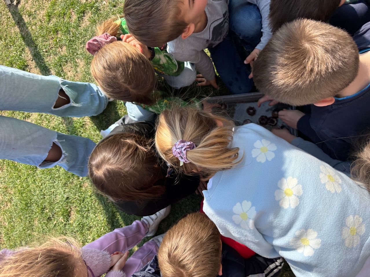 Eine Gruppe von Kindern versammelt sich um eine Schale mit Schokoladen auf einem Rasen. Sie betrachten die Schokoladen neugierig.