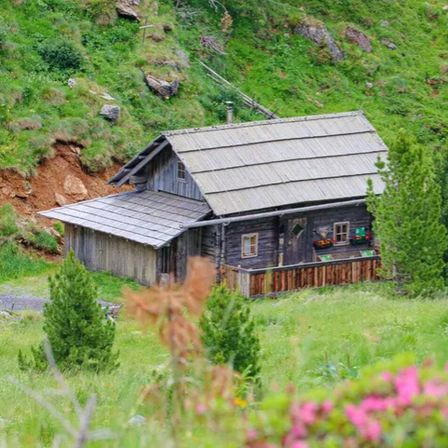 v1_migrated_image_37492635