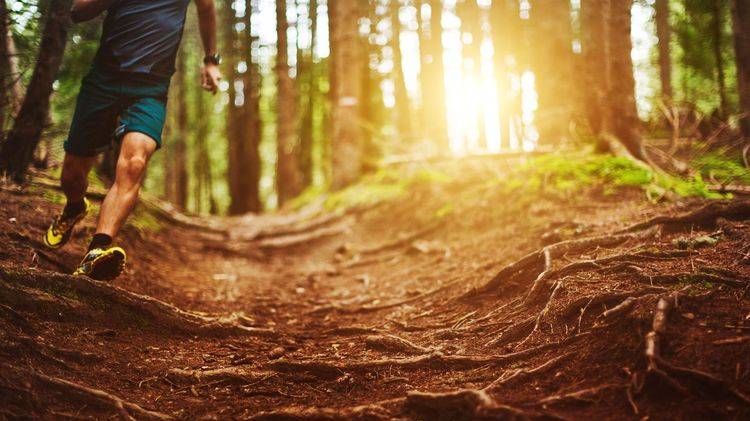 v1_migrated_image_53506251