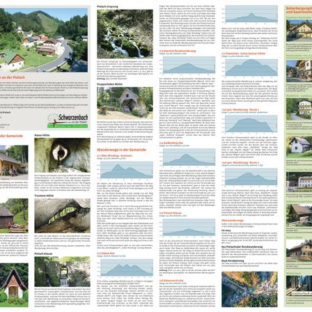 Bild enthält, Advertisement, Poster, Page, Text, Architecture, Building, Cat, Mammal, Pet, Outdoors