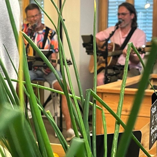 Zwei Männer spielen Gitarre und singen in einem Raum mit einem unscharfen Vordergrund von Pflanzen. Einer trägt ein farbenfrohes Shirt, der andere ein rosa Shirt.