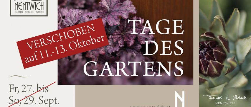 Ein Plakat für die Gartentage mit einem violetten Blatthintergrund. Das Plakat zeigt ein rotes Banner mit der Aufschrift '3. Oktober'. Der Haupttext in weiß lautet 'Tage des Gartens'. Das Plakat enthält auch die Website-URL 'www.nentwich.at'.